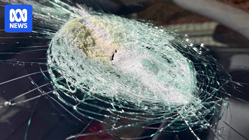 Smashed windscreen in remote SA unlikely caused by meteorite, museum says
