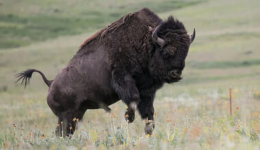 Yahoo lifestyle home