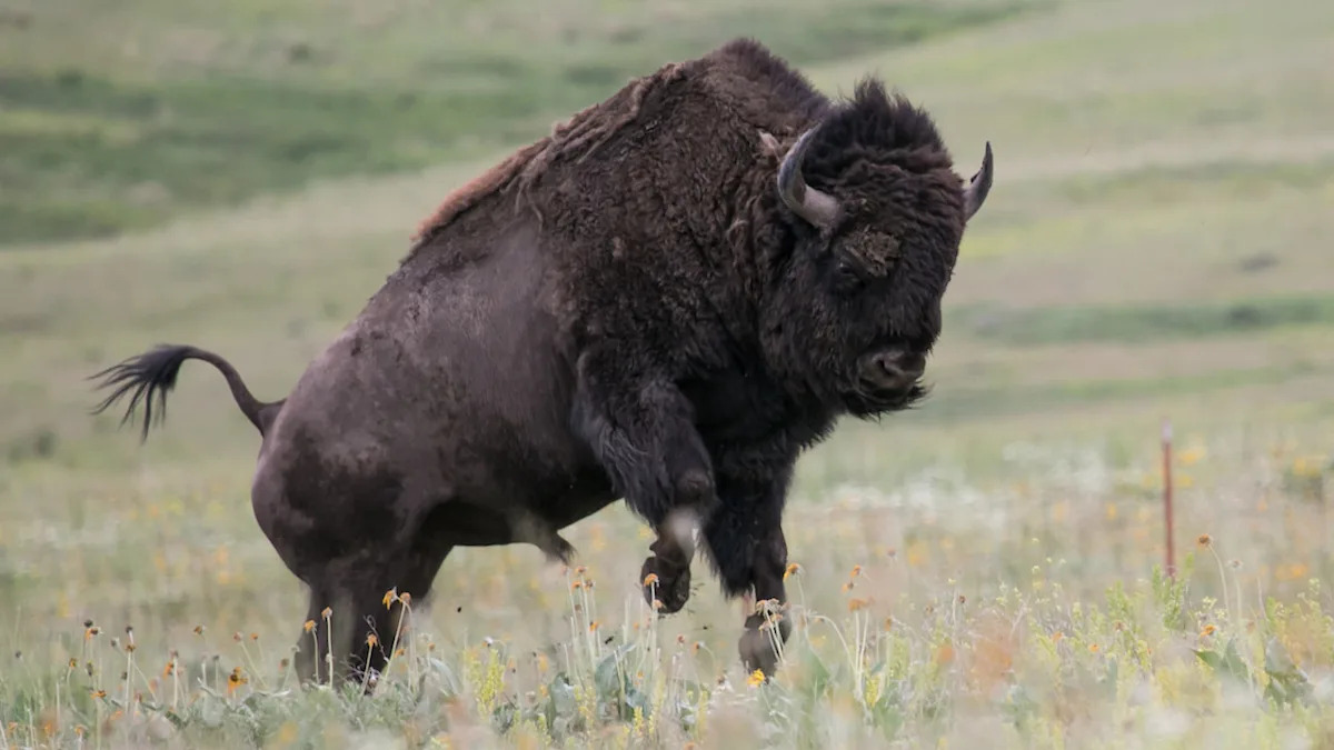 Yahoo lifestyle home