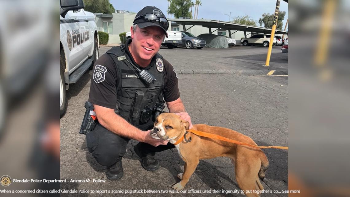 A puppy was stuck between two walls in Glendale. Here's how police ensured this situation had a 'paw-sitive' outcome.