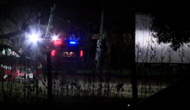 Deputies investigate suspected rooster fighting after dozens found dead in northeast Harris County