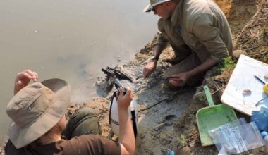 Wooden structure discovered that predates Homo sapiens by 300,000 years