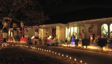 ‘It just provides joy’: Interlochen lights up Arlington for 50th anniversary