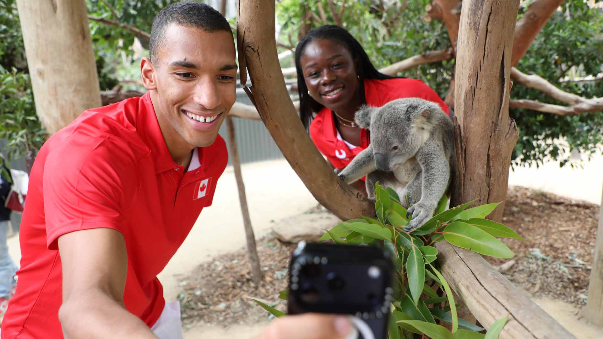 Felix Auger-Aliassime and Victoria Mboko take a selfie with a koala on Wednesday at the Sydney Zoo.