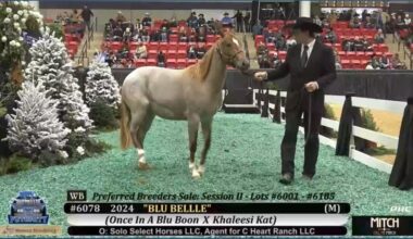 In Fort Worth, the fast-talking rhythm of an auction is the heartbeat of a family tradition