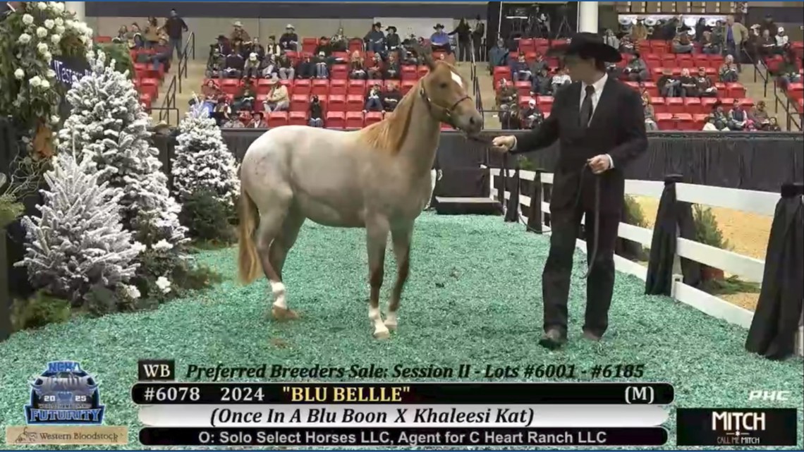 In Fort Worth, the fast-talking rhythm of an auction is the heartbeat of a family tradition