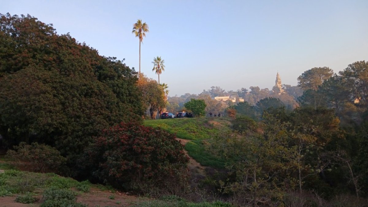 SDPD shoots at person during chase involving e-biker in Balboa Park – NBC 7 San Diego