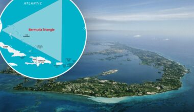 Bermuda waters are hiding a mysterious giant structure that's 'unlike anything else'