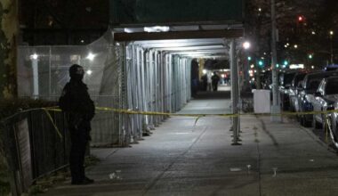 Two men shot near Brooklyn public housing complex