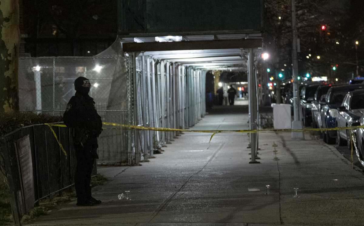 Two men shot near Brooklyn public housing complex