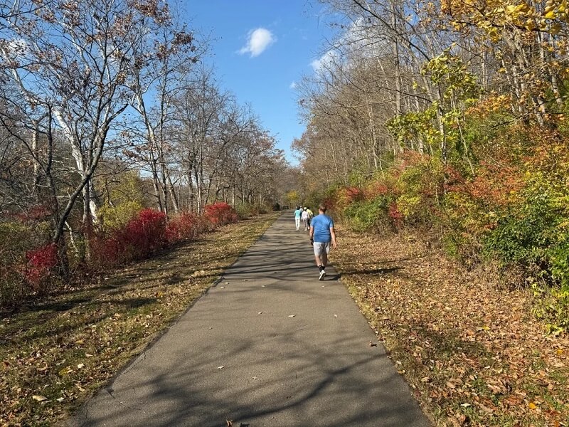 A Redditor shared how the highly invasive Burning Bush is taking over their neighborhood.