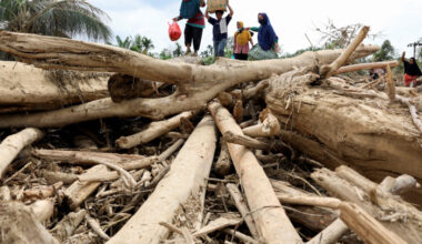 Bangkok Post - Indonesians climb over logs to get to flood aid centre