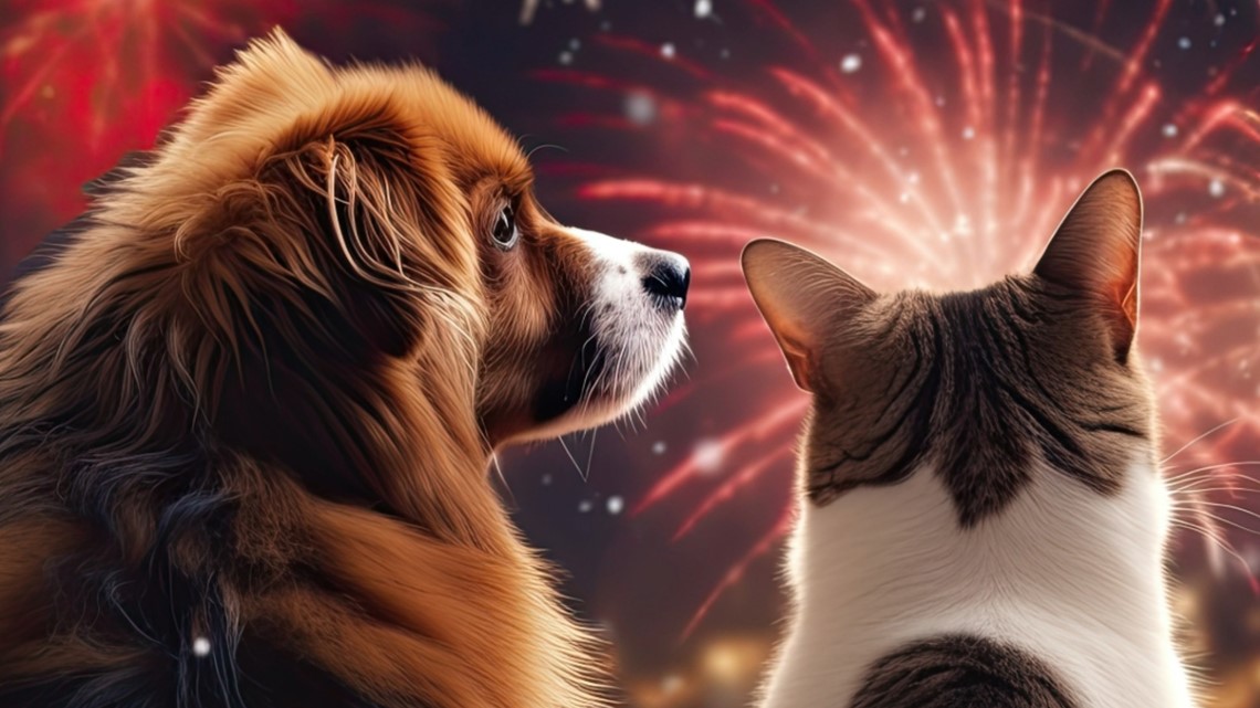 Fireworks may be fun — but not for pets