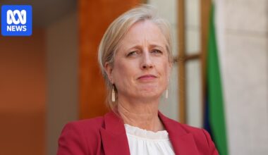 Scathing 'jobs for mates' review finds government appointments too often look like 'nepotism'