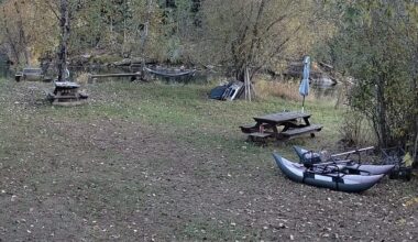 A Reddit video of a cougar walking through a piece of land near a river demonstrates how human-wildlife interactions have become increasingly common.