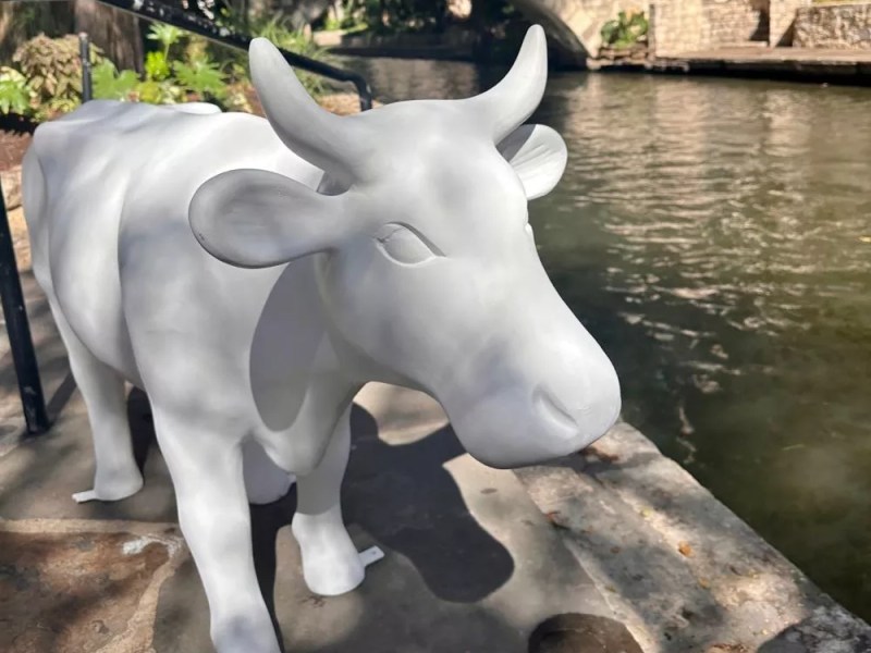 Cow Parade art project returning to San Antonio after more than 20 years