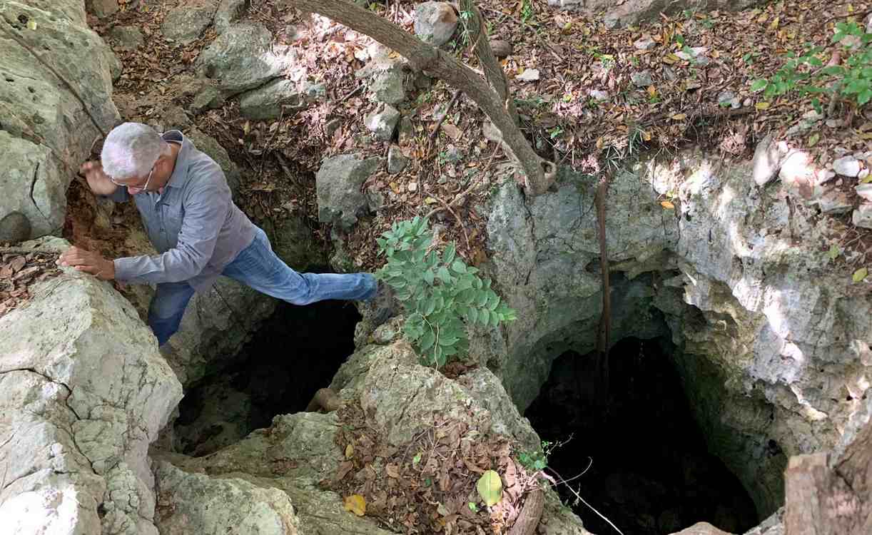 Cave of Wonders: Where Prehistoric Bees Made Nests in the Bones of Animals Eaten by Colossal Owls
