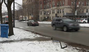 CTA bus driver cited after woman hit and killed in South Shore: – NBC Chicago