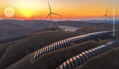 Seven feel-good science stories to restore your faith in 2025