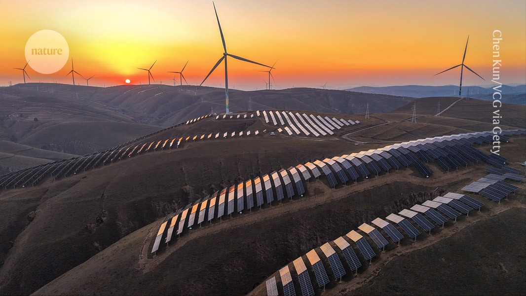 Seven feel-good science stories to restore your faith in 2025