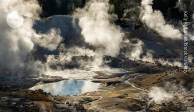 ‘Fire amoeba’ survives in hotter conditions than any other complex cell