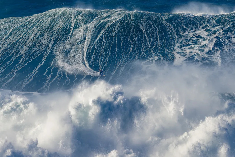 (David Ramos/Getty Images)