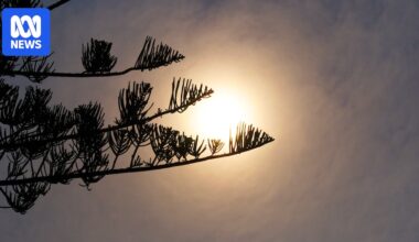 Are you affected by the extreme heatwave sweeping through Australia? We want to hear from you