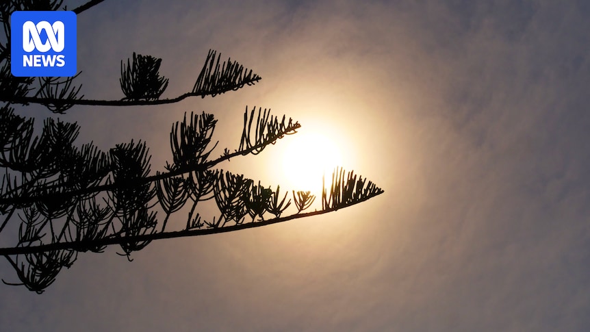 Are you affected by the extreme heatwave sweeping through Australia? We want to hear from you