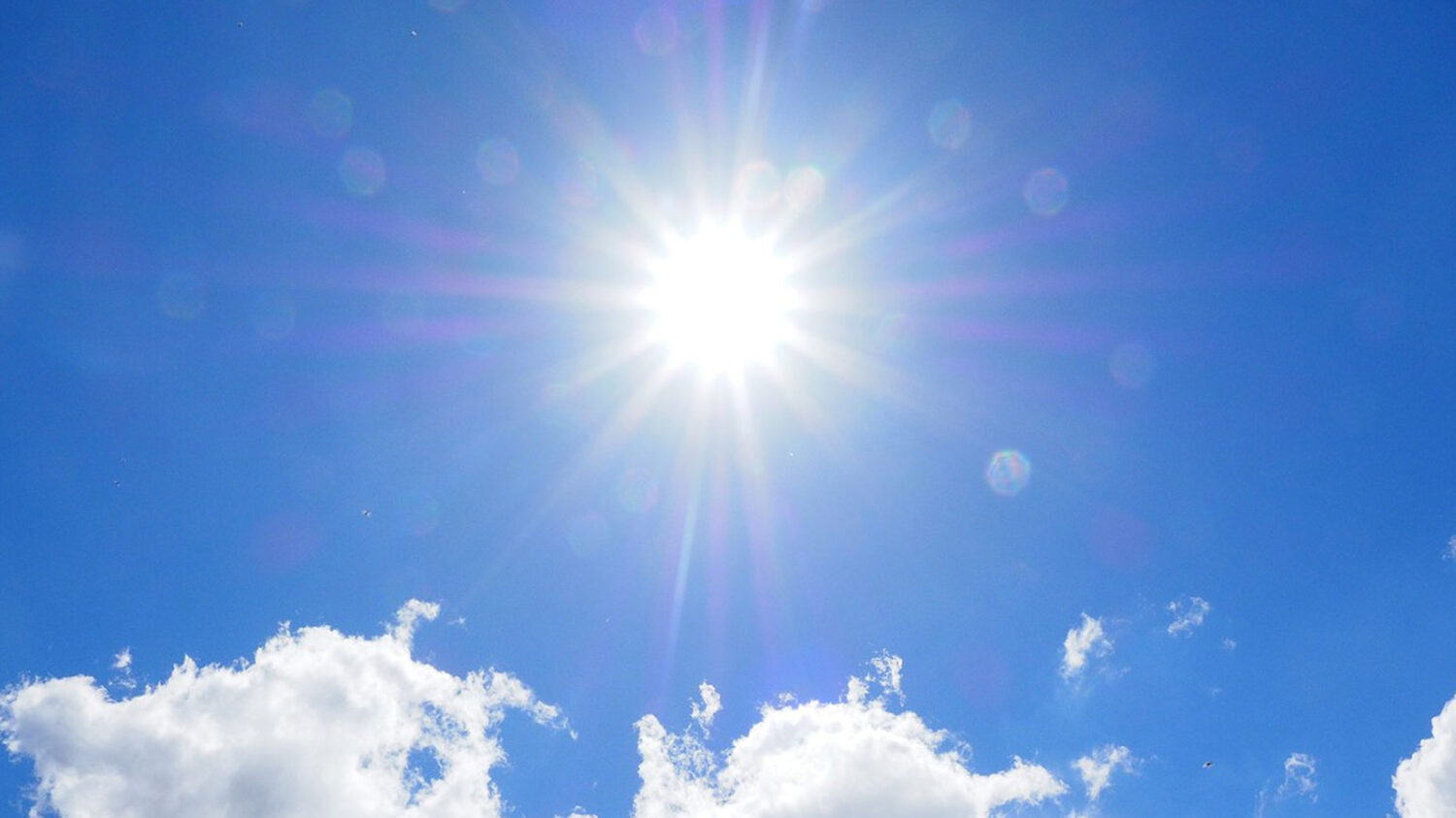 he Valley's unseasonably warm December continued on Tuesday as a record high temperature was set in...