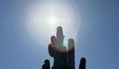 On the first day of Christmas week, Phoenix broke a daily heat record that had stood for over 100 y...