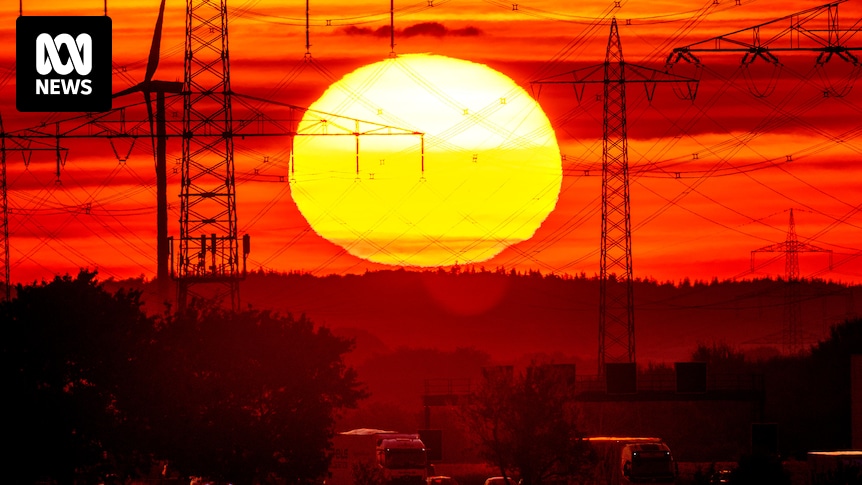 Extreme heatwave forecast for NSW, with Sydney's west set to reach temperatures in the low 40s