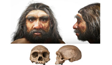 Scientists learn what these human ancestors actually looked like