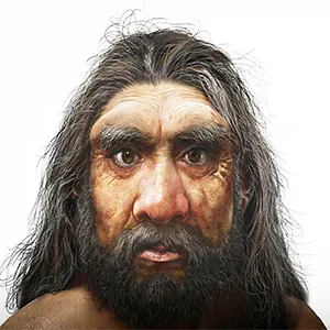 An illustrated reconstruction of the Harbin skull Denisovan’s face, known as "Dragon Man." Credit: Chuang Zhao