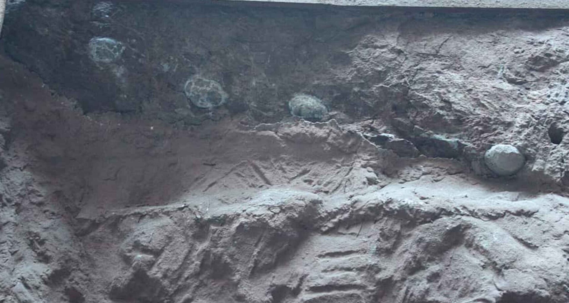 Dinosaur eggs the size of cannon balls filled with giant crystals