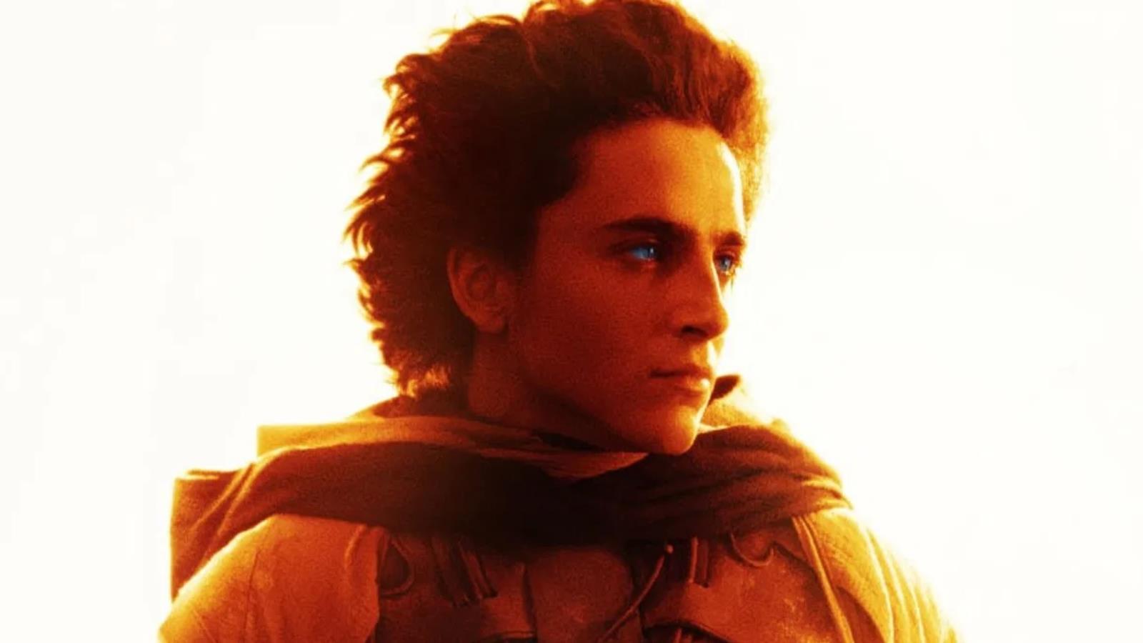 DUNE Star Timothée Chalamet Criticized For Telling Fans Not To Take His "Top-Level Sh*t" For Granted