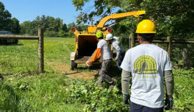 Rapid Tree Care Expands Philadelphia Operations with New South Philadelphia Location
