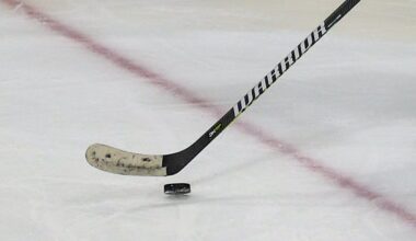 ECHL, hockey players union reach tentative deal to end strike