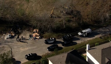 Police investigate possible skeletal remains found in southeast Houston