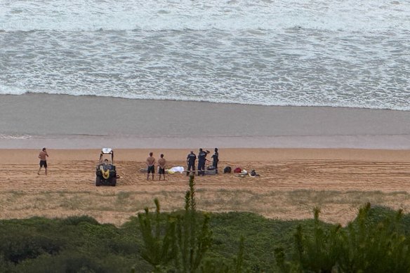 The scene at Palm Beach on Wednesday. 