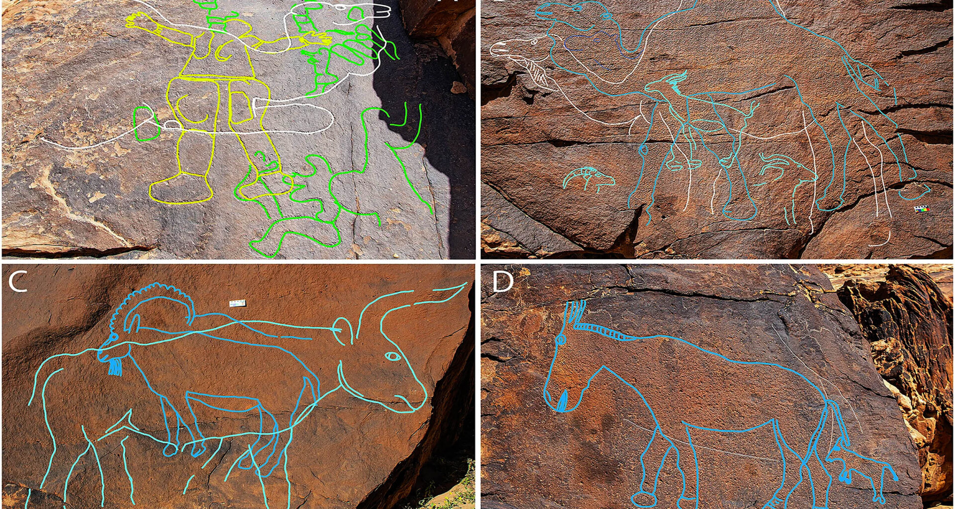 Oldest rock art served as maps for finding Arabian desert water