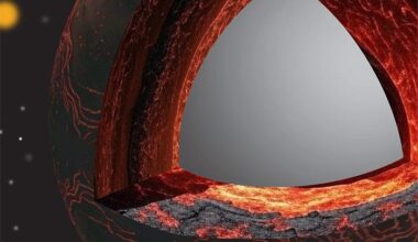 Brighter Side of News