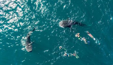 Warm and cozy winter vacation in La Paz, Baja California Sur.