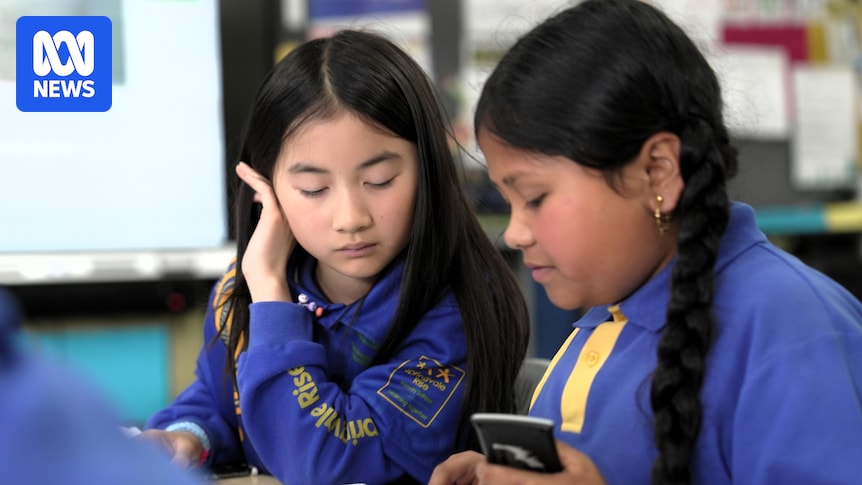 The secret sauce powering the schools punching above their weight in NAPLAN