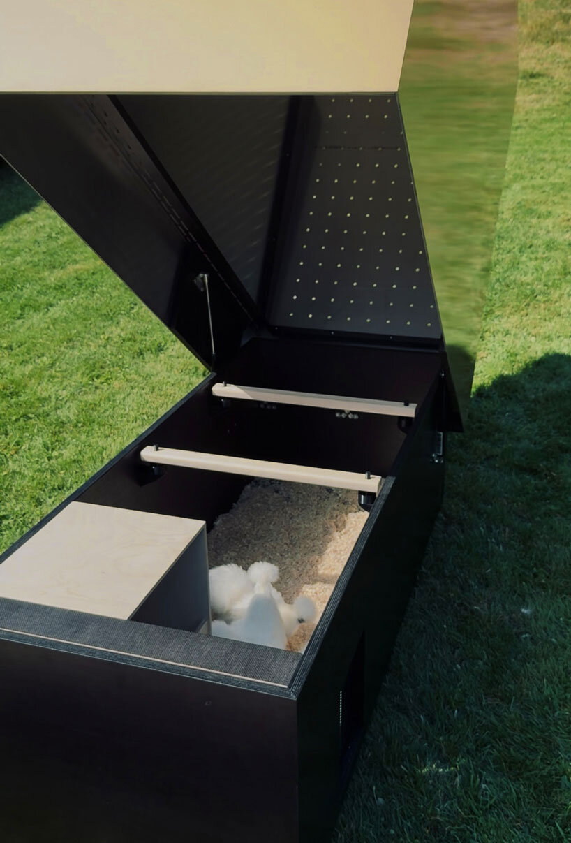 reflective gold facade wraps minimal geometric chicken coop for six fowls