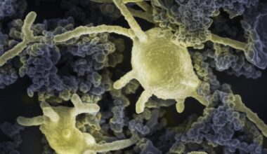 The discovery of aeonophiles expands our definition of life