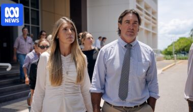 Celebrity crocodile wrangler Matt Wright sentenced to 10 months in prison, suspended after five months