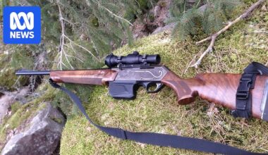 Don't rush to change gun laws after Bondi, farmers and shooters group in Tasmania says