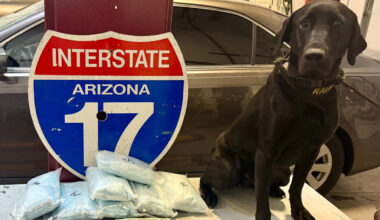 K9 Radar helped find about 70,000 fentanyl pills in a vehicle carrying two small children during a ...