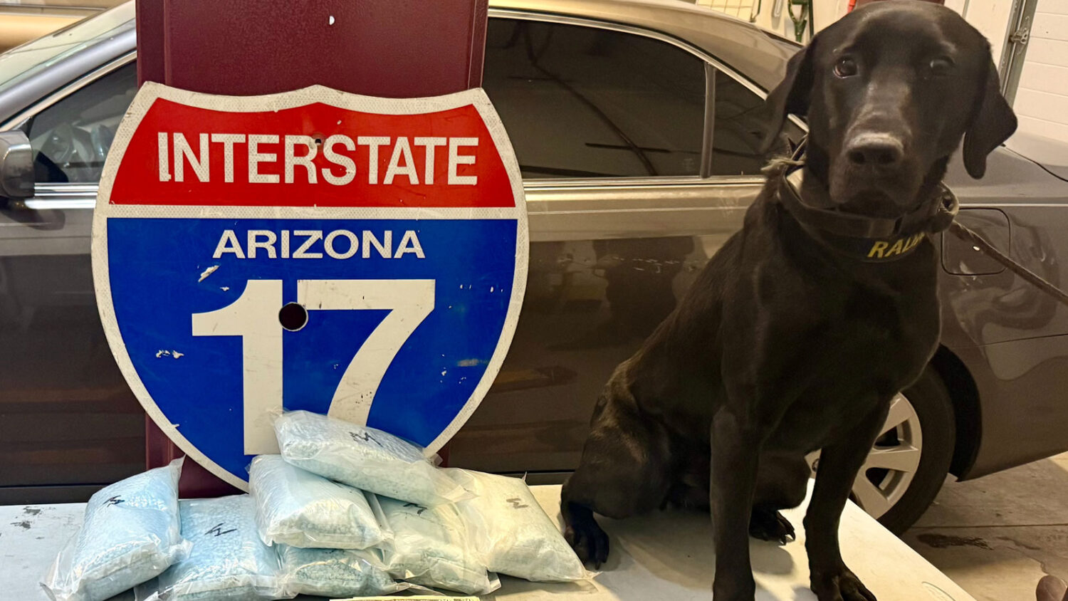 K9 Radar helped find about 70,000 fentanyl pills in a vehicle carrying two small children during a ...