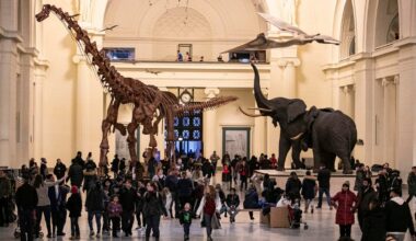 Chicago museum free days for the start of 2026 – NBC Chicago